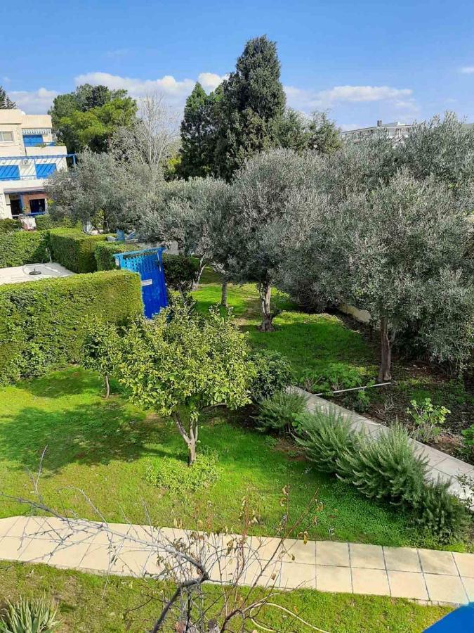 2 Bedroom Apartment-Mediterranean Type Paphos 外观 照片